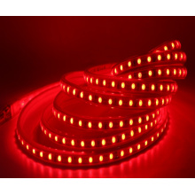 RGB на 220В светодиодные ленты 5050 Водонепроницаемый Открытый сад неоновые украшения строка свет